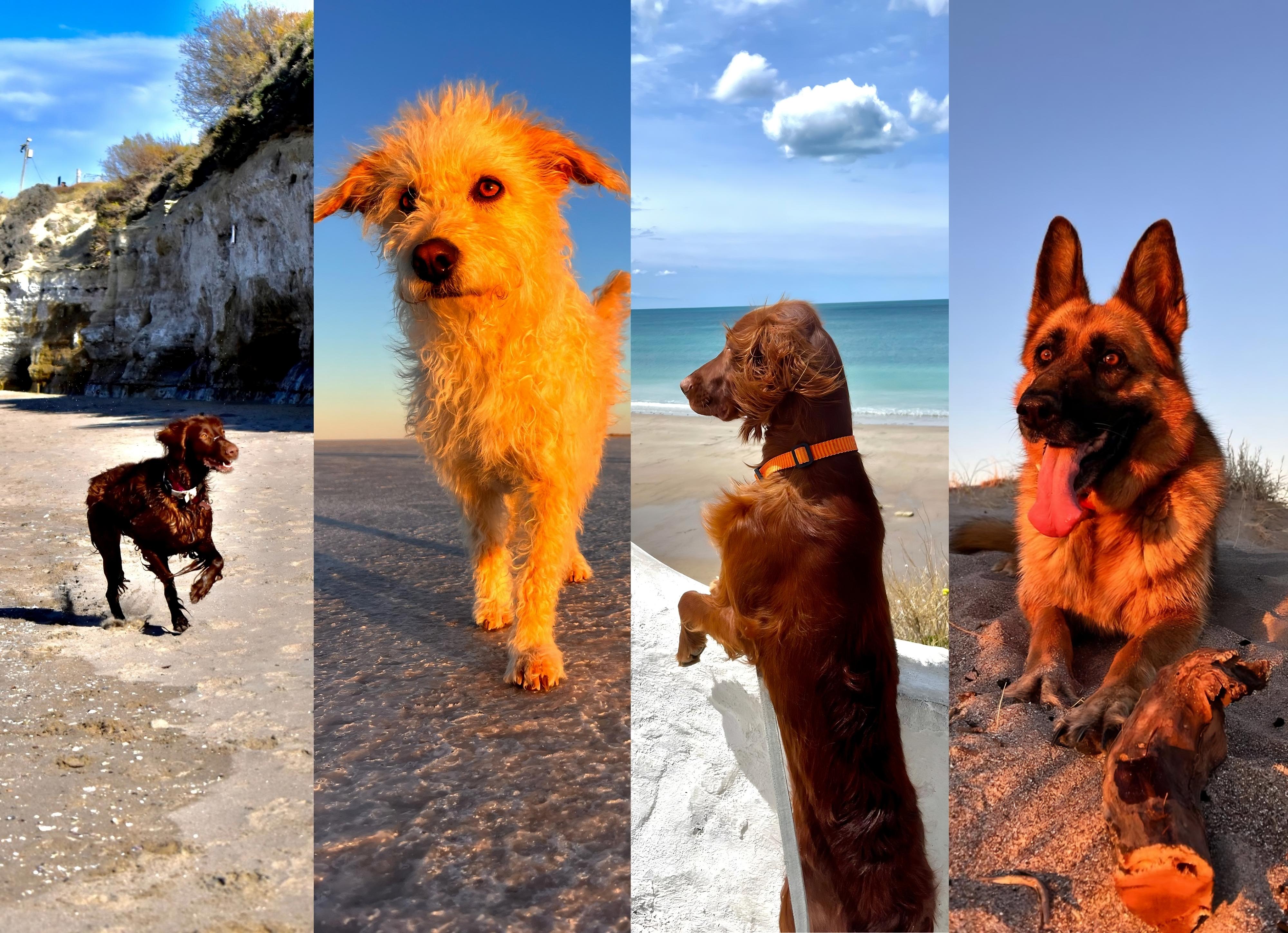 PatitasAlMar - Las Grutas